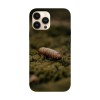 Husa compatibila cu Apple iPhone 14 model Pine cone, Silicon, TPU, Viceversa, Transparent, Carcasa