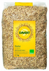 Davert Ovaz integral bio 1kg foto