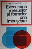 EXECUTAREA MIEZURILOR SI FORMELOR PRIN IMPUSCARE-V. VULCU, I. BRATU, C. SAMOILA