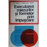 EXECUTAREA MIEZURILOR SI FORMELOR PRIN IMPUSCARE-V. VULCU, I. BRATU, C. SAMOILA-113640