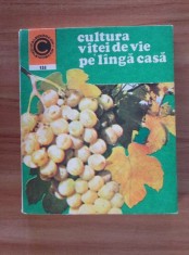 Avram D. Tudosie - Cultura vitei de vie pe langa casa