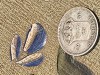 15 őre Suedia 1936, argint, Europa