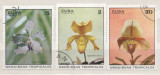 Cuba 1972 Orchids, used AK.017, Stampilat