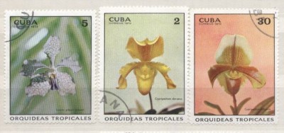 Cuba 1972 Orchids, used AK.017 foto