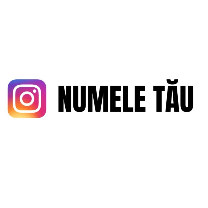 Sticker Auto Instagram Personalizat cu Numele Tau Model 8 , Promoveaza-ti Contul in Stil Unic
