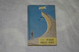 Un baiat priveste marea - Tudor Popescu - 1960