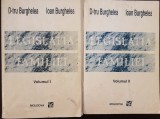 LEGISLATIA FAMILIEI - Burghelea (2 volume)