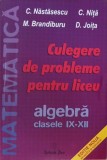 Culegere de probleme pentru liceu. Algebra. Clasele IX-XII - C. Nastasescu, C. Nita