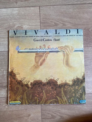 Vinyl/vinil - VIVALDI foto