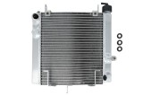 Cumpara ieftin Radiator pentru KTM DUKE 890 2020-2023