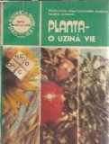 Planta, o uzina vie - Doina Liana Toma