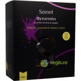 Paste Fettuccine cu Cerneala de Calamar si Sofran 250g