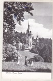 bnk cp Sinaia - Muzeul Peles - circulata
