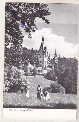 bnk cp Sinaia - Muzeul Peles - circulata foto