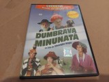 DVD Dumbrava minunata - Colectia Filme de vacanta