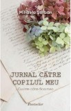 Jurnal catre copilul meu - Mihaela Stirban