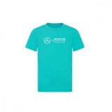 Mercedes AMG Petronas tricou de copii Large Logo green F1 Team 2024 - 164 cm (dětsk&eacute;)