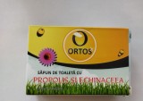 SAPUN CU PROPOLIS&amp;ECHINACEEA 100GR