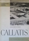 CALLATIS-CONSTANTIN PREDA-268109
