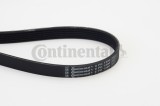 CONTINENTAL CTAM 6PK1390 Curea transmisie cu caneluri
