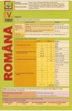 Plansa Limba romana - Clasa 5, Autor Anonim