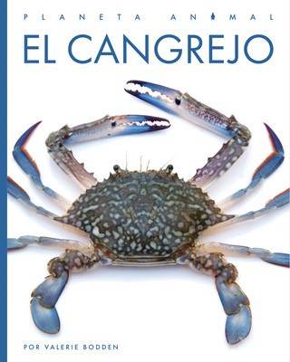 El Cangrejo foto