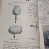 DOCTORUL YGREK- MEDICU NOSTRU.DICTIONAR ENCICLOPEDIC MEDICAL-1931 S3.