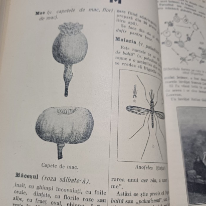 DOCTORUL YGREK- MEDICU NOSTRU.DICTIONAR ENCICLOPEDIC MEDICAL-1931 S3.