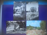 HOPCT LOT 4174 -4 CARTI POSTALE-ORADEA BAILE FELIX-JUD BIHOR-CIRCULATE, Circulata, Printata