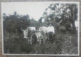 Tarani romani cu un car cu boi// fotografie interbelica, Romania 1900 - 1950, Portrete