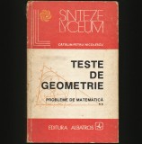 Cumpara ieftin TESTE DE GEOMETRIE - PROBLEME DE MATEMATICĂ - VOL. II - CĂTĂLIN-PETRU NICOLESCU