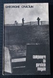 Gheorghe Crăciun - Compunere cu paralele inegale