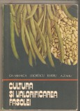 Cultura si valorificarea fasolei