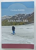 ADULMECARI de CRISTIAN BADILITA , JURNAL DIN GROAPE , 2015 -2018 , APARUT 2019 , PREZINTA INSEMNARI SI SUBLINIERI *
