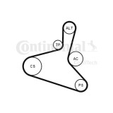 Set curea transmisie cu caneluri Contitech 6DPK1195K2