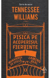 Pisica pe acoperisul fierbinte - Tennessee Williams