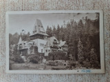 Sinaia - Castelul Pelisor., Necirculata, Fotografie