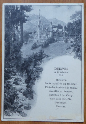 Meniu ; Dejun regal la Castelul Peles , 25 Iunie 1914 foto