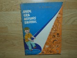 UNDE ERA ASCUNS BASMUL -A.MITEAEV ANUL 1963