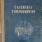 CALCULELE STRUNGARULUI-VASILE BARBU-255699