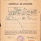 HST A1149 Certificat de cetățenie 1948 Cluj profesor Ioan Văleanu