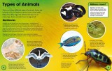 Animals |