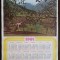 NI359 Calendar de perete ADAS 1981