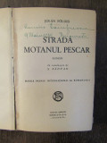 Jolan Foldes - Strada Motanul Pescar