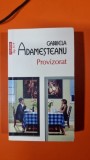 Gabriela Adamesteanu - Provizorat