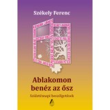 Ablakomon ben&eacute;z az ősz - Sz&eacute;kely Ferenc