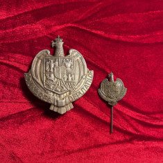 Insigna Adunarea deputatilor, regalista, varianta mare si miniatuta