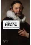 Cumpara ieftin Negru. Istoria unei culori tulburatoare