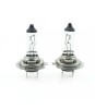 Set de 2 becuri Halogen 24V H7 70W +50% Intensitate LONG LIFE CARGUARD