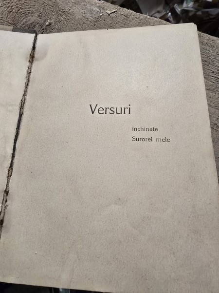Versuri inchinate surorii mele - Ana Conta-Kernbach